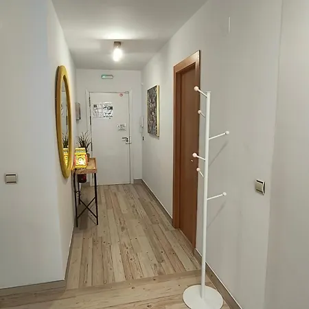 شقة 